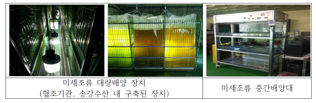 미세조류 배양시스템 구축을 위한 각종 배양 시스템(자체 설계 제작).