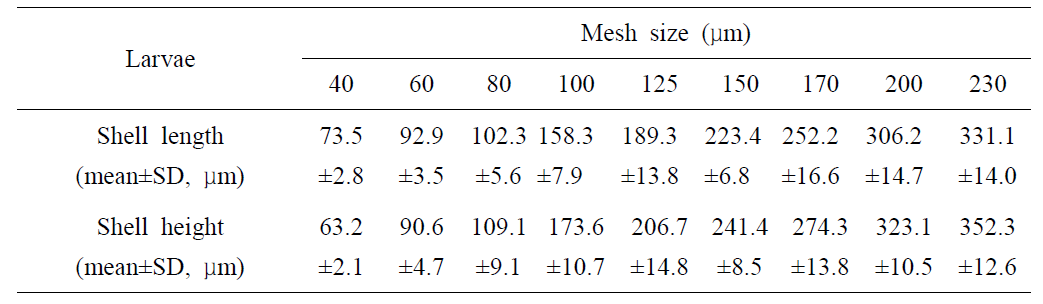 선별망목에 따라 선별된 참굴 유생의 크기