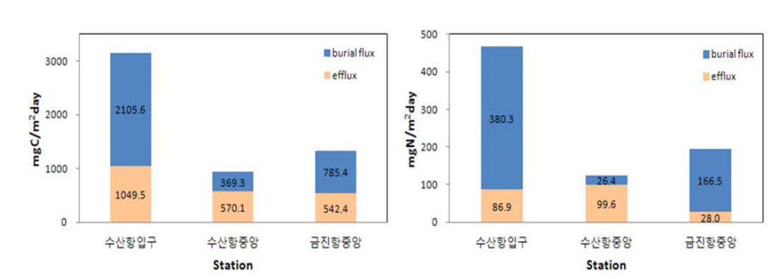 2011년도 수산항 및 금진항 입자물질의 수층-퇴적물 간 탄소 및 질소의 물질수지.