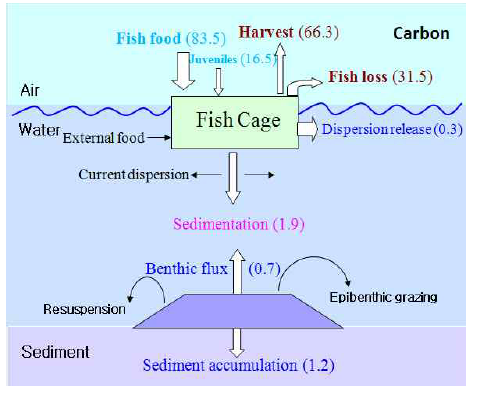 조피볼락 양식을 고려한 IMTA 양 식장 해역의 탄소의 물질수지