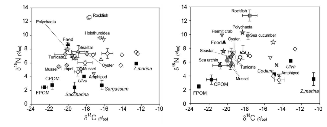IMTA 가두리 어장(Gray)과 대조구(White)에서 채집된 잠재먹이원(Black)과 양식생물 및 소비자동 물의 δ13C과 δ15N 값의 5월(좌)과 9월(우)의 dual plot.