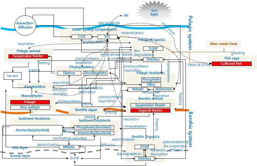 어장환경수용력 산정 생태계 물질순환 모델 모식도.
