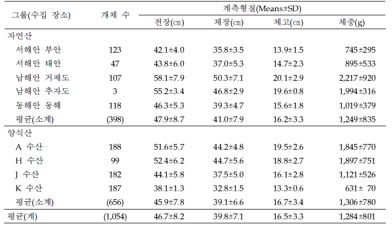 수집한 자연산 및 양식산 넙치어미의 계측형질