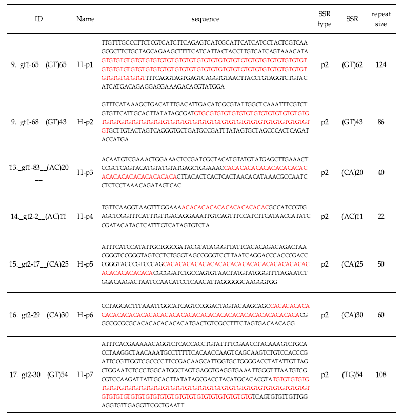 231개의 참전복 microsatellite DNA sequence 및 repeat type