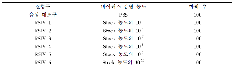 돌돔 이리도 바이러스(RSIV) 인위감염 실험구