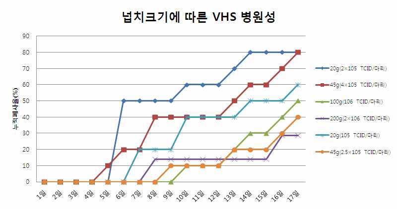 넙치 크기 및 바이러스 농도에 따른 백신 후보주 VHSV의 병원성