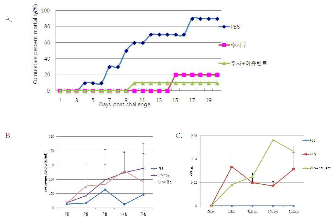 바이러스 백신 처리에 따른 효능검증 (A; 바이러스 백신처리 후 공격실험에 대한 평균누적폐사율