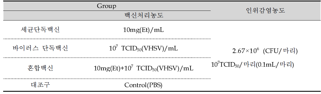 혼합 백신 효능검증을 위한 실험구 및 인위감염 농도