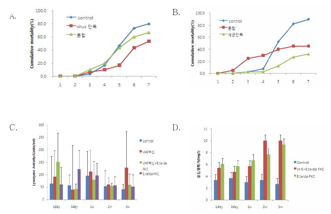 혼합백신의 효능검증 실험 A. 바이러스 인위감염 후 누적폐사율(%), B. 에드와드병 인위감염 후 누적폐사율(%), C. lysozyme 활성, D. 응집항체가