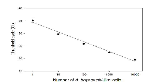 A. hoyamushi 정량을 위한 Real-time PCR 용 표준 곡선