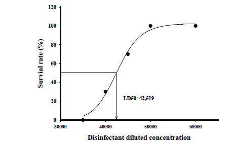 넙치에 대한 시판소독제 1종의 희석농도별 독성 효과