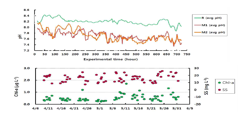 2013년 4∼5월 부산시 강서구 눌차 메조코즘실험에서 측정된 pH변화 및 해양환경변화