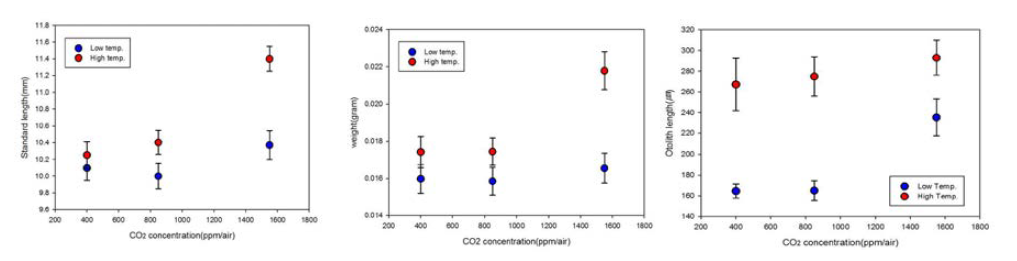 2012년 각 이산화탄소 농도 및 수온별 넙치 치어의 체장(왼쪽), 체중(가운데),