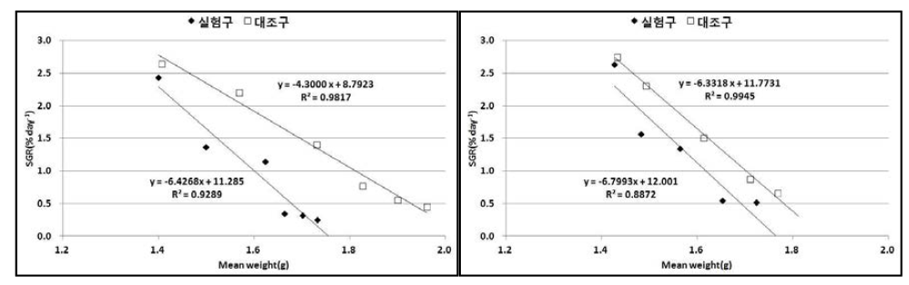 실험구 및 대조구의 넙치 치어의 체중에 대한 성장률 변화(좌:2012년, 우:2013년).