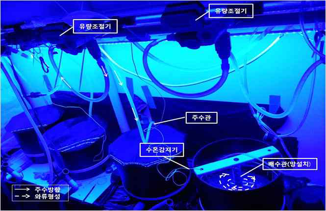 실뱀장어 변태유도 실험을 위한 사육 장치. 표 5. 수온에 따른 변태유도 효과