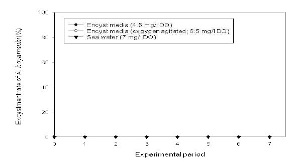 용존산소에 따른 부유성 cyst의 탈낭률.