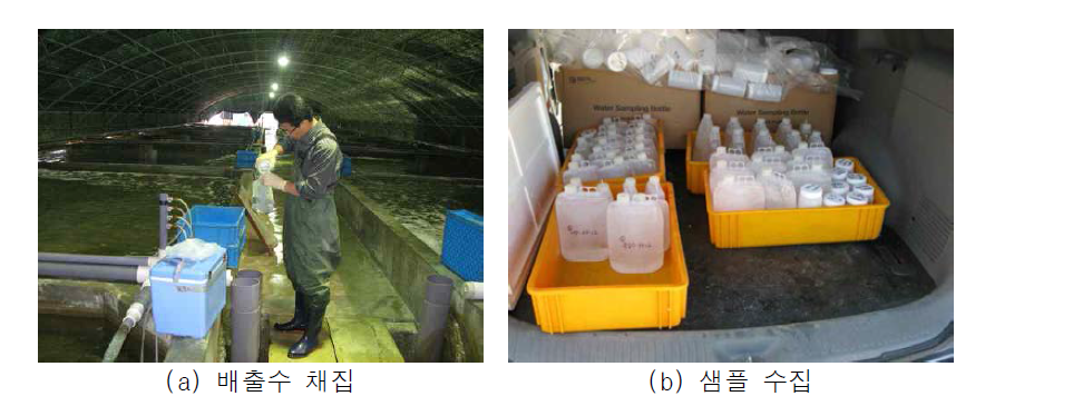 양식장 현장 배출수 채집 및 샘플 수집