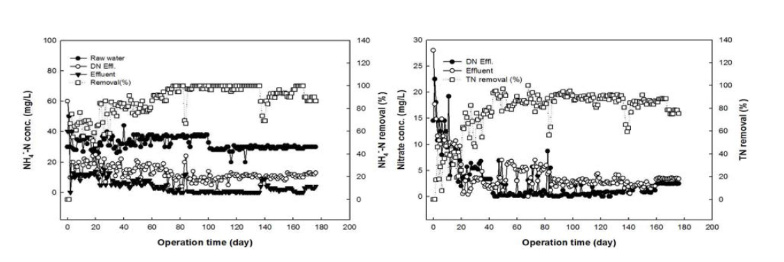 ANR 시스템에서 생물학적 질산화 및 탈질 거동