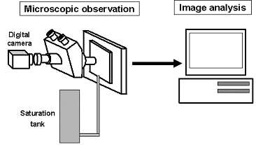 화상분석법에 의한 기포크기 측정 개략도