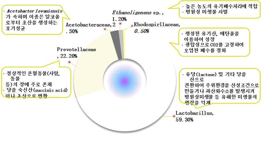 BM-S-1(Beneficial Microorganisms) 의 구성 미생물 군집 분포도 및 기능