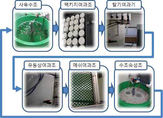 해수 순환여과양식시스템(RAS) 구성과 미생물 샘플 채집