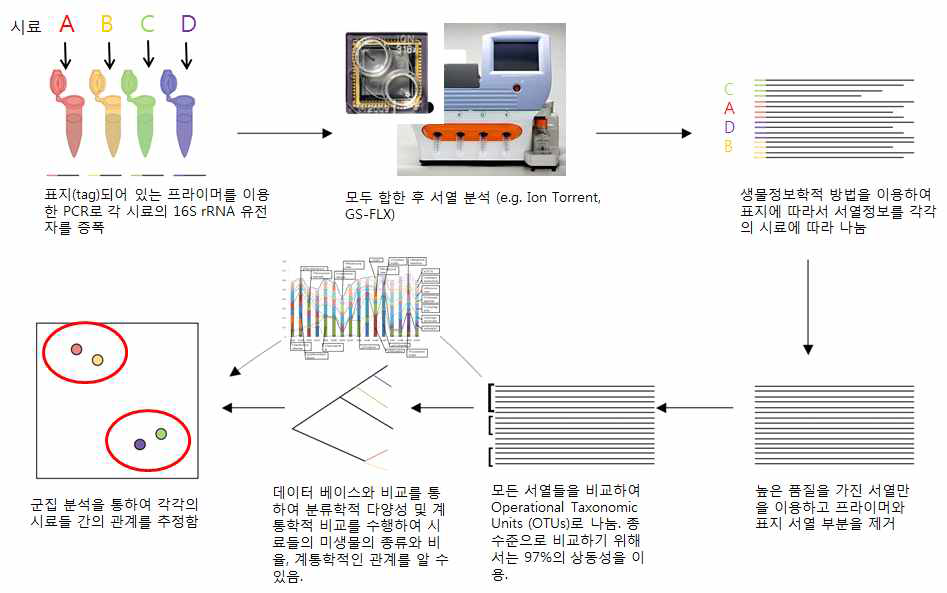 Tagged PCR-Next generation sequencing과 그 분석과정