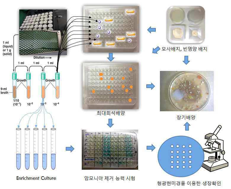 난배양성 유기물 분해·질산화·탈질 미생물 배양을 위한 신기술 모식도