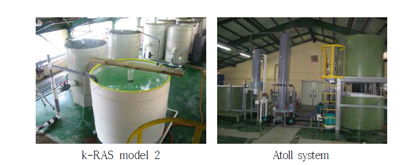 시험 RAS(k-RAS 2) 와 상업용 해수 RAS(Atoll system) 전경
