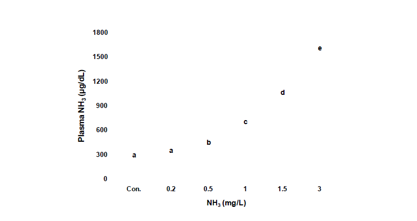 암모니아 노출에 따른 혈장의 암모니아 농도