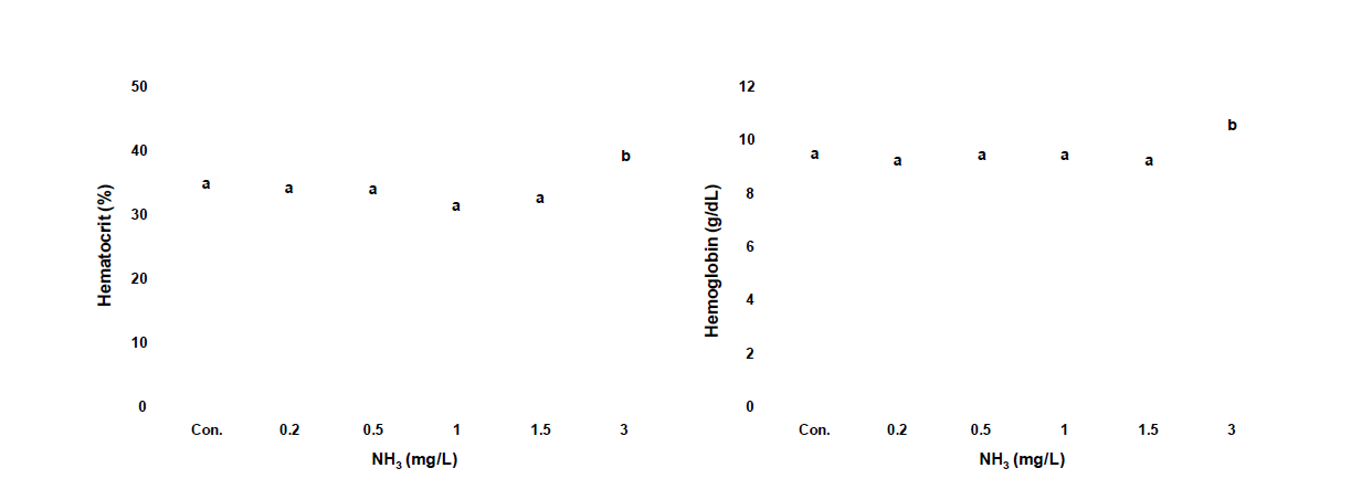 암모니아 노출에 따른 Ht 및 Hb 농도