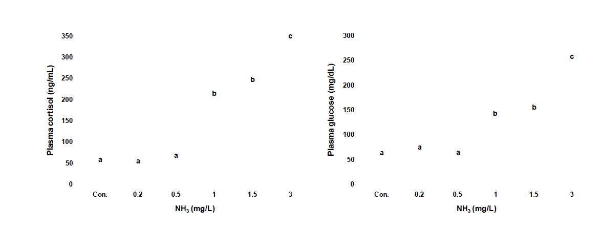 암모니아 노출에 따른 혈장 cortisol 및 glucose 농도