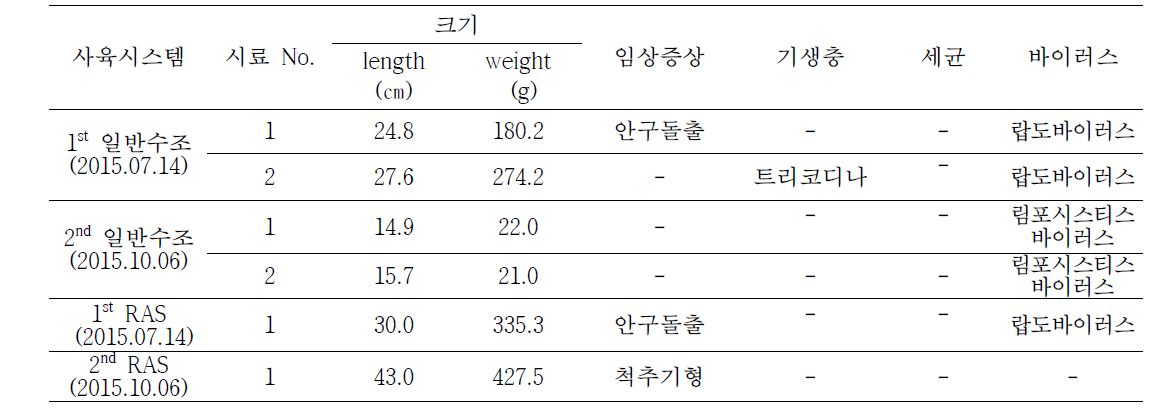 RAS시스템과 일반해수 수조의 능성어 질병감염 비교