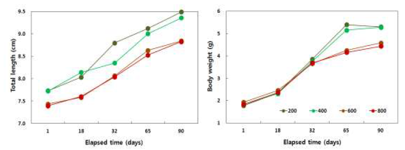 사육밀도별 미꾸리의 체장 및 체중 성장.