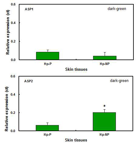 강도다리 무안측 표피에 있어 ASIP 1 & 2 mRNAs 상대적 발현도(np: 비착색, p:착색).