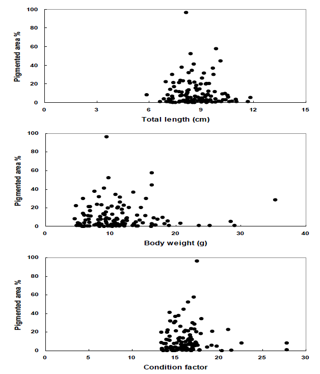 120일간 두가지 밀도 (100 fish/tank & 400 fish/tank)에서 사육한 강도다리의 성장과 흑화률의 상관관계.