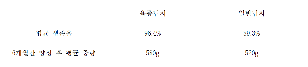 육종넙치와 일반넙치의 생존율 및 6개월 양성 후 평균 중량