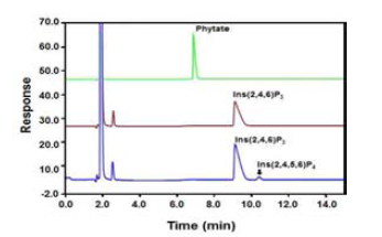 HPLC를 이용한 Pseudomonas sp. β-propeller phytase의 최종분해산물 분석.