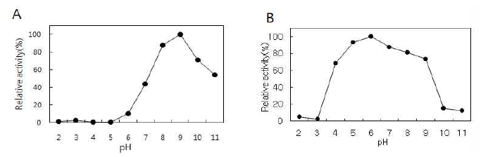 pH에 대한 영향 (A)최적 pH (B)pH 안전성.
