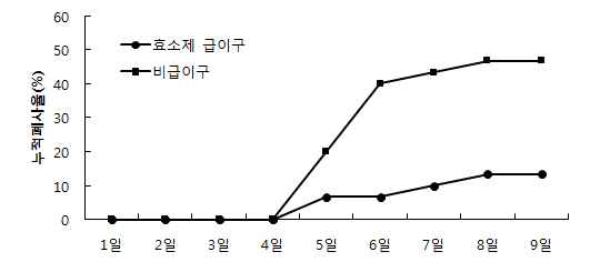 효소제 급이 후 공격실험에 따른 누적폐사율