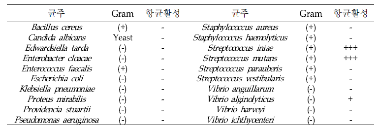 진주담치 외투막 추출물의 항균활성