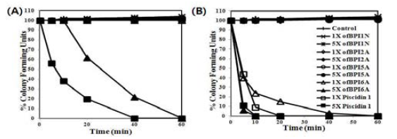 넙치 BPI 유래 항균펩타이드 유도체의 killing kinetic study (A) B. subtilis KCTC1021 (B) E. coli ML35P.