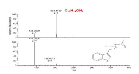 m/z 203 피크의 고분해능 질량분석 스펙트럼 분석.