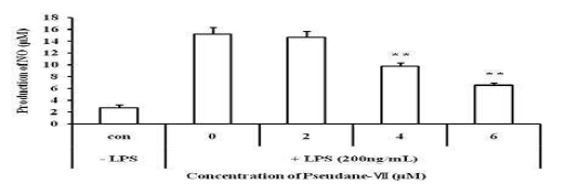 A5(pseudane-Ⅶ)의 항염증 인자인 NO 생성 효능을 검토.