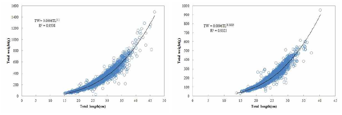 경북 포항연안 문치가자미의 체장-체중 관계(좌: 암컷, 우: 수컷).