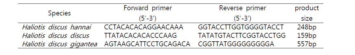 각 전복류 미토콘드리아 증폭용 프라이머 정보