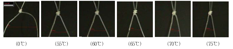 열처리 온도에 따른 그물의 매듭과 발의 상태.