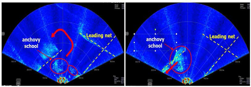 2D 이미지 소나를 이용한 정치망 내 어류 유입 및 유출 패턴.