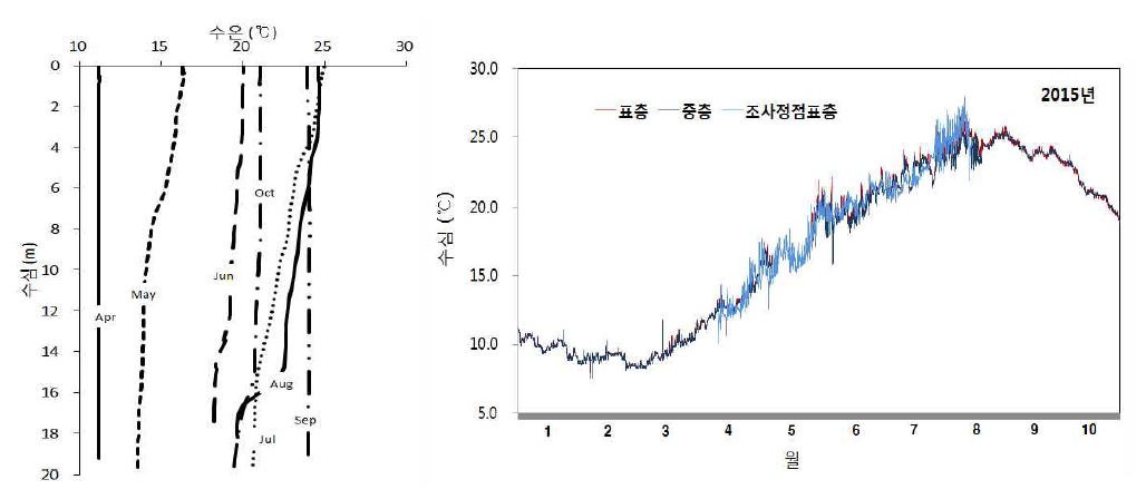 월별 연직 수온분포(좌) 및 표층, 중층 수온의 시계열(우) 변화.