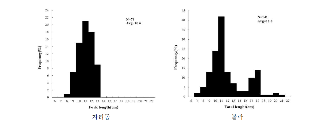 노대도에서 어획된 어류 중 우점종의 체장조성