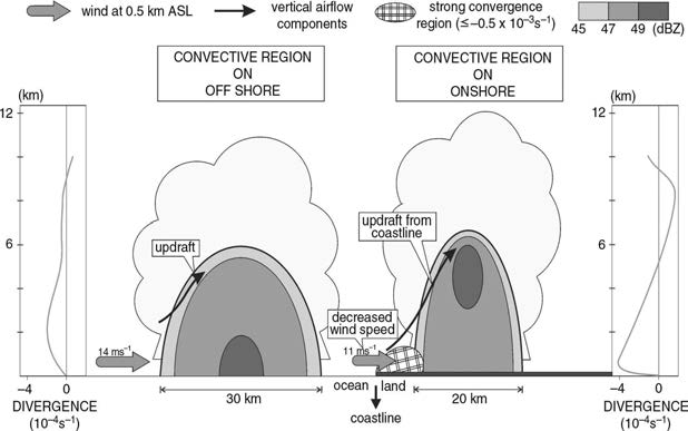 연안역과 외양 역에서 강수시스템의 수렴 모식도. 음영은 레이더의 반사도 변화를 나타내며, 굵은 화살표 및 얇은 화살표는 각각 해수면 0.5km 고도에서의 수평풍속 및 연직적 기류성분을 나타 냄